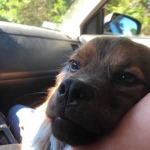 Meet your Posher, Georgia